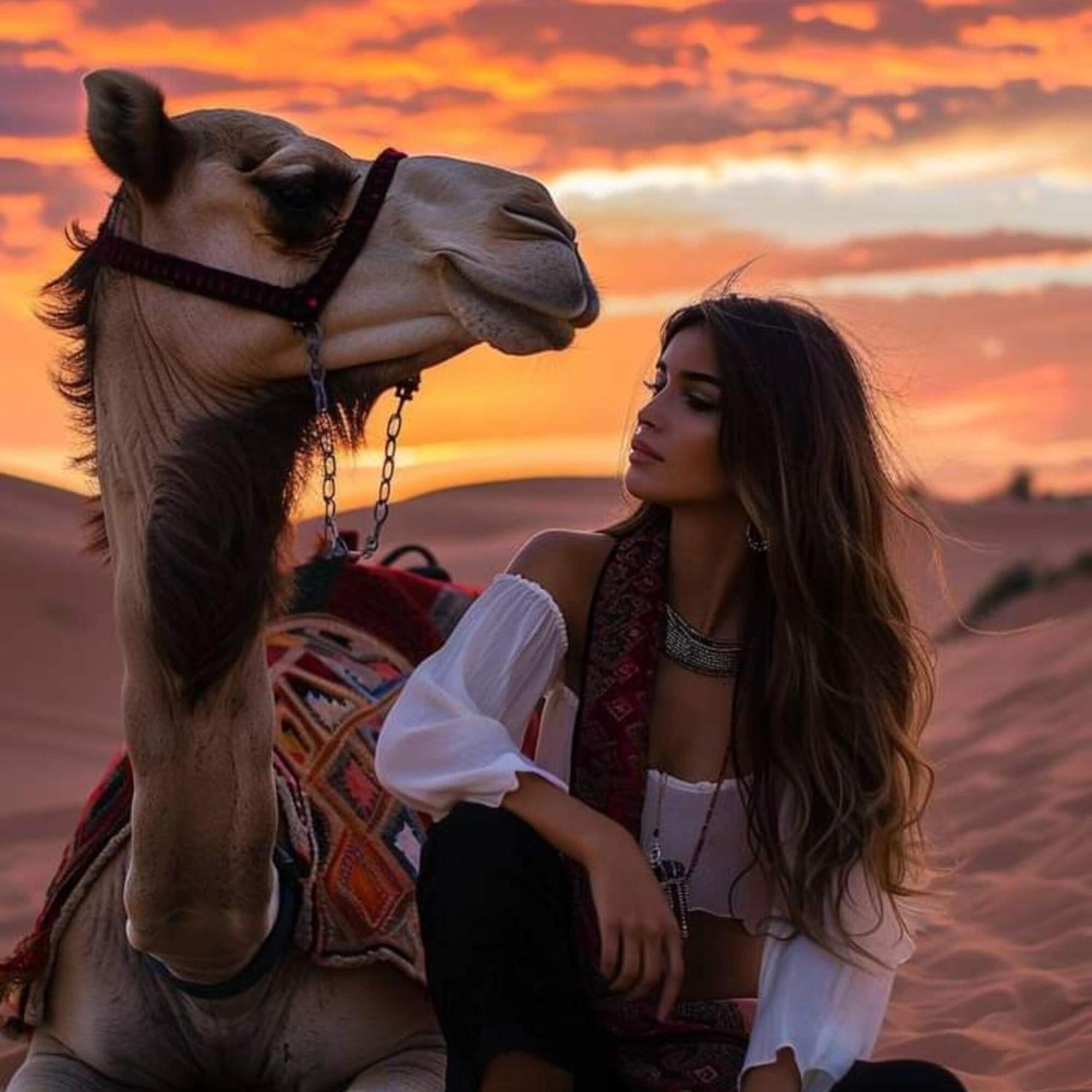 Erg Chebbi Romantic Desert Camp Merzouga Eksteriør bilde