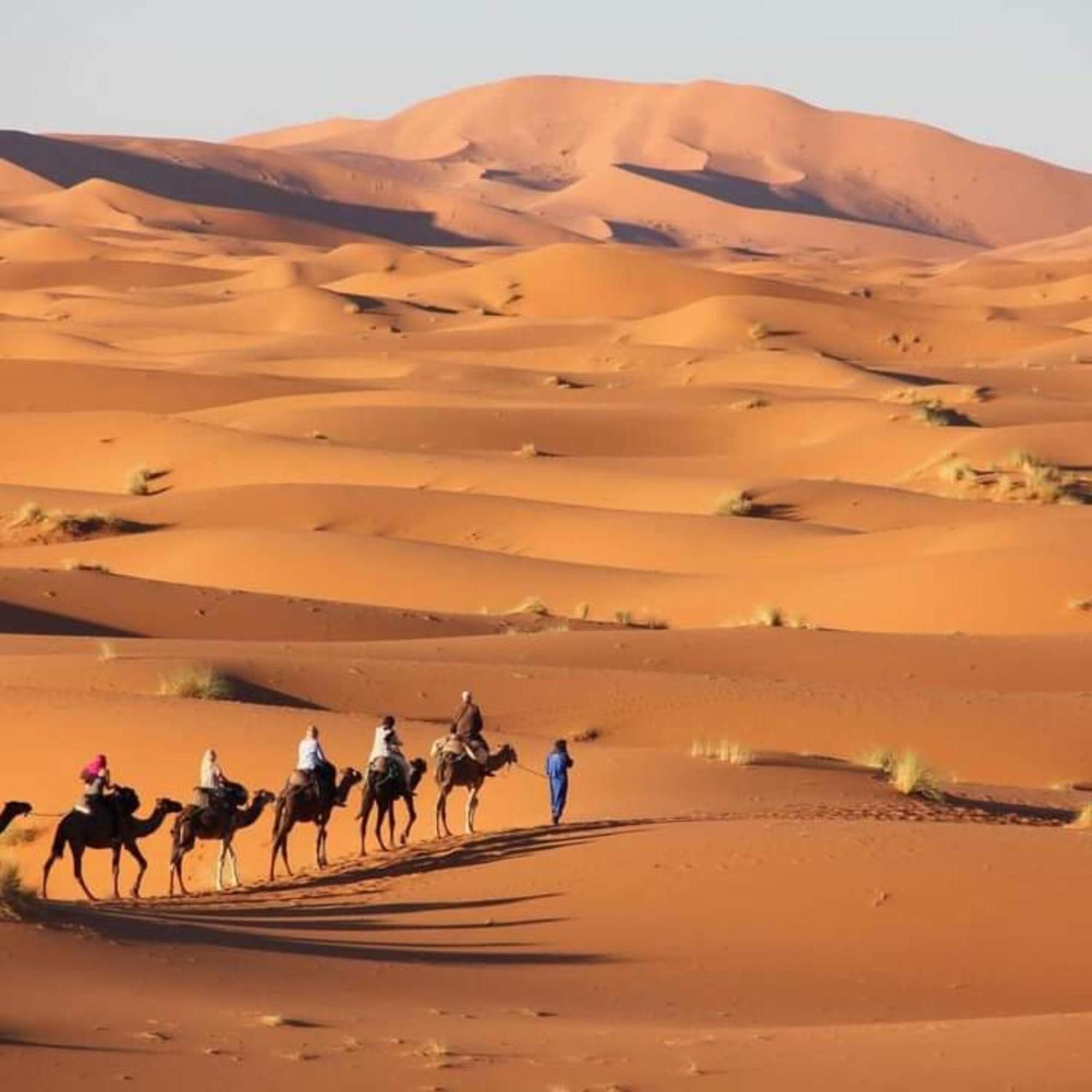 Erg Chebbi Romantic Desert Camp Merzouga Eksteriør bilde